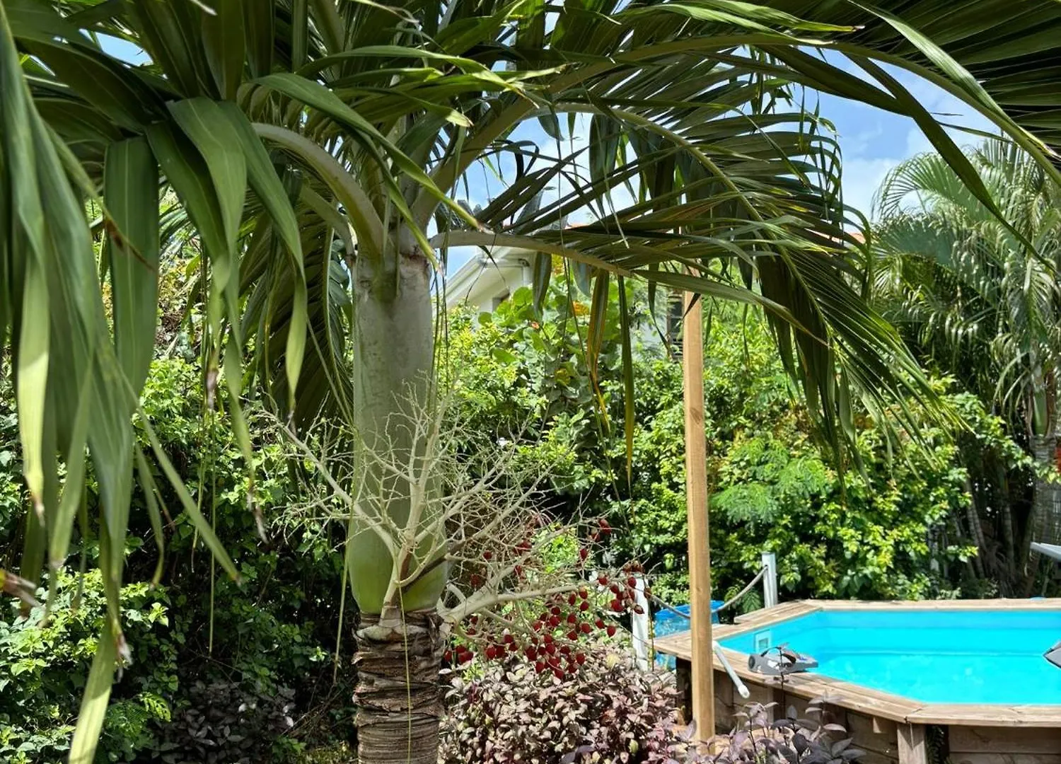 Villa Piscine - Bougainvillier Les Anses-d'Arlets